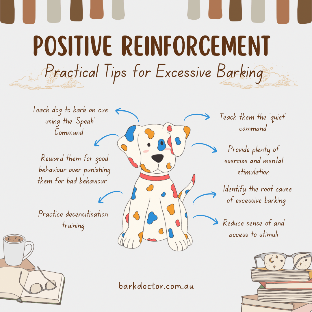 Positive Reinforcement: A Practical Guide for Dog Barking - Bark Doctor