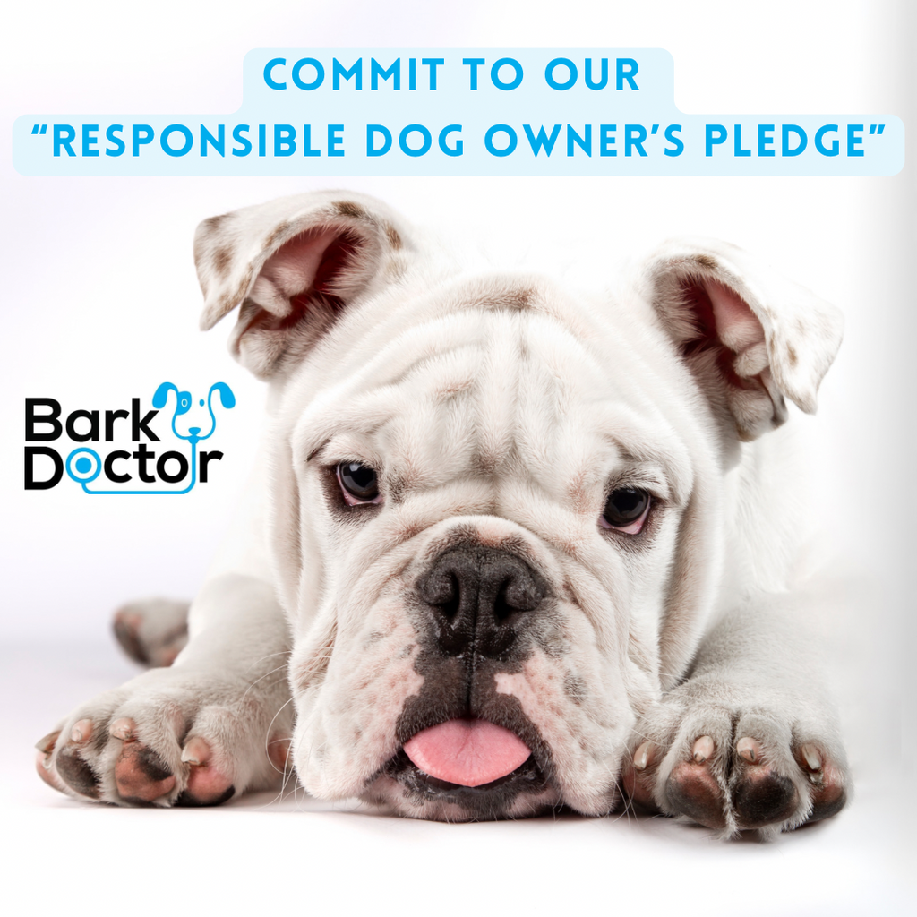 Responsible Dog Owner’s Pledge