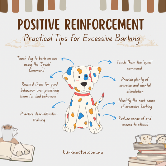 Positive Reinforcement: A Practical Guide for Dog Barking