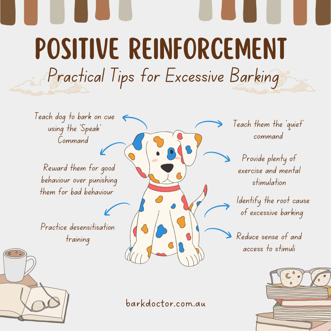 Positive Reinforcement: A Practical Guide for Dog Barking – Bark Doctor