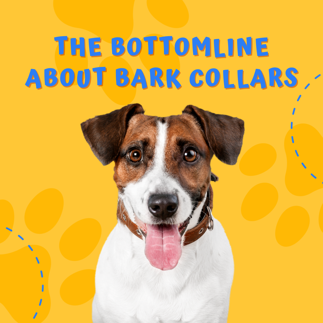 The bottom line about bark collars