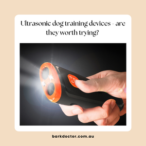 Why ultrasonic dog training devices are worth trying