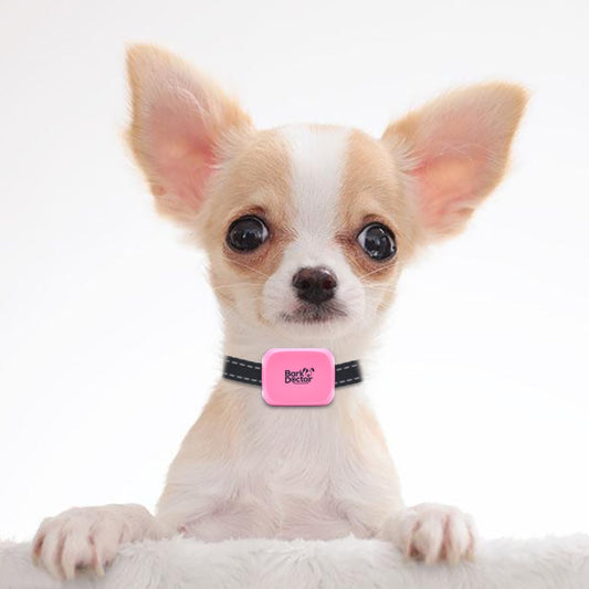 Bark control solution for small dogs - Bark Doctor