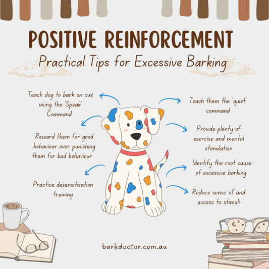 Positive Reinforcement: A Practical Guide for Dog Barking - Bark Doctor