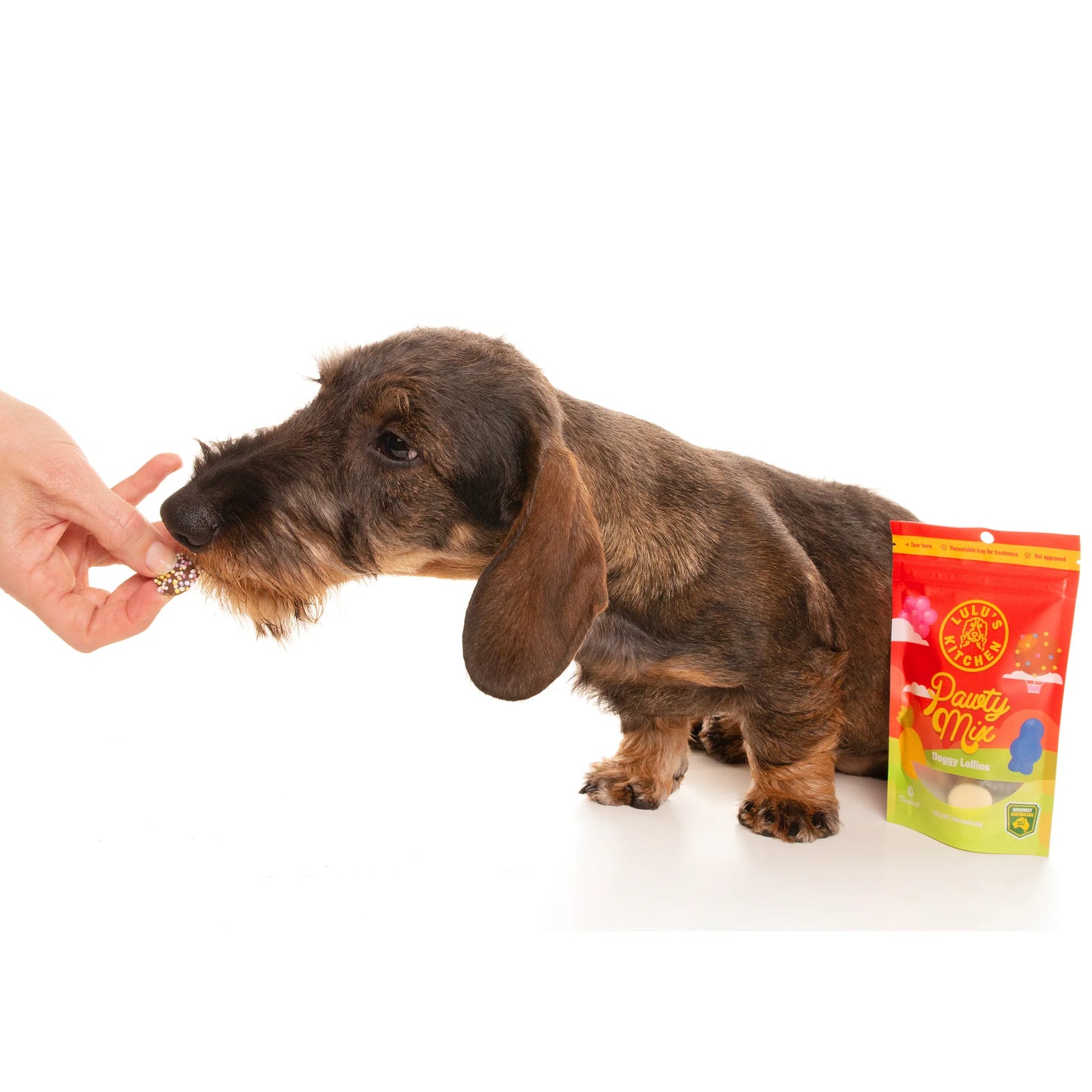 Pawty Mix Healthy Lollies for Dogs 100g