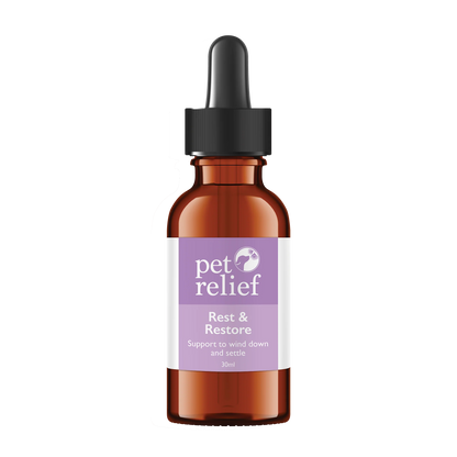 Rest & Restore Drops- Night Time Blend