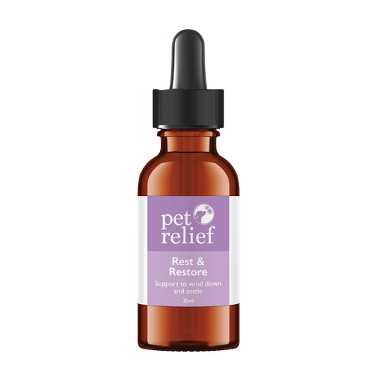 Rest & Restore Drops- Night Time Blend