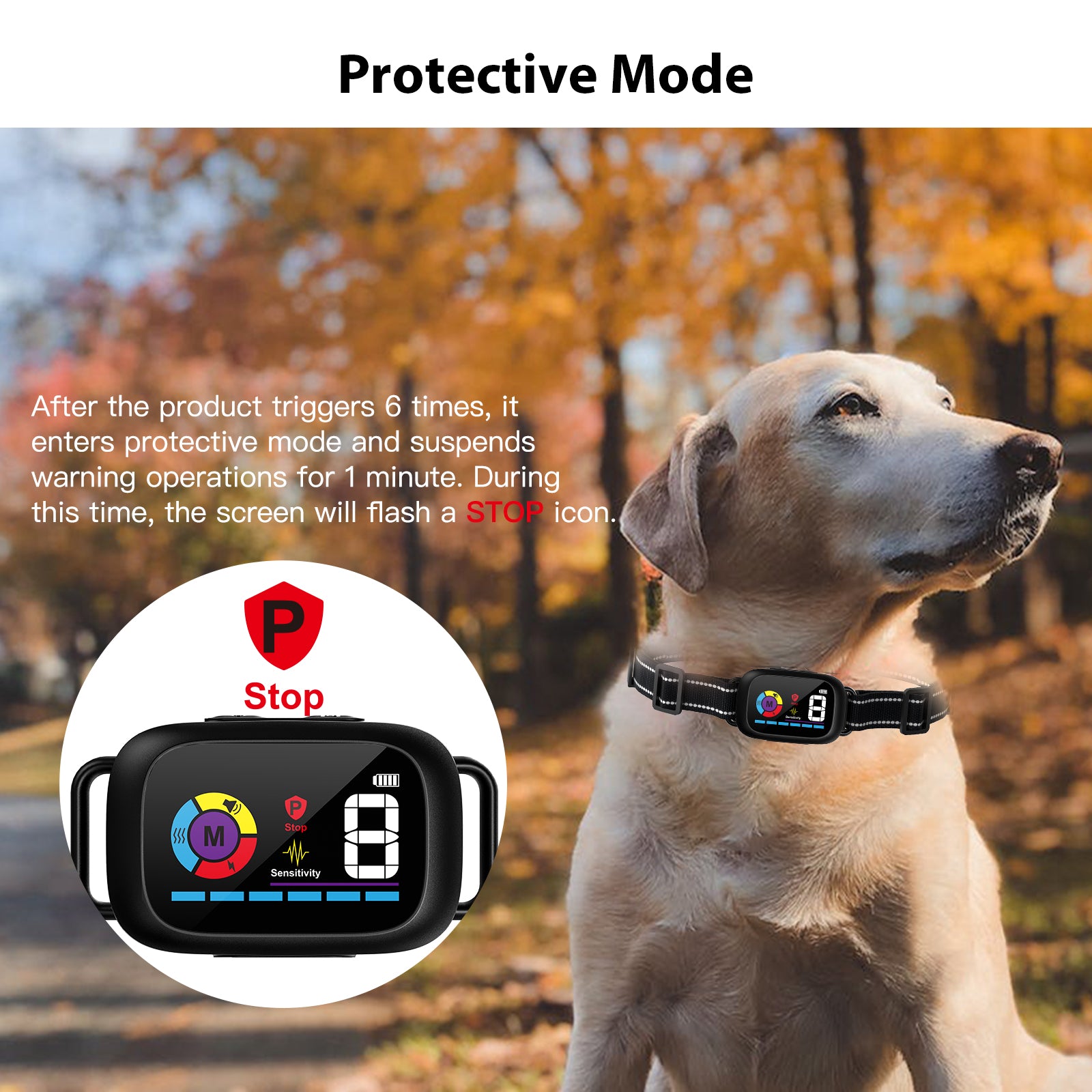 B630 Digital Bark Collar