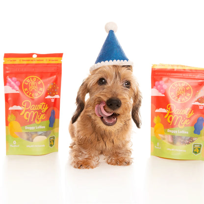 Pawty Mix Healthy Lollies for Dogs 100g