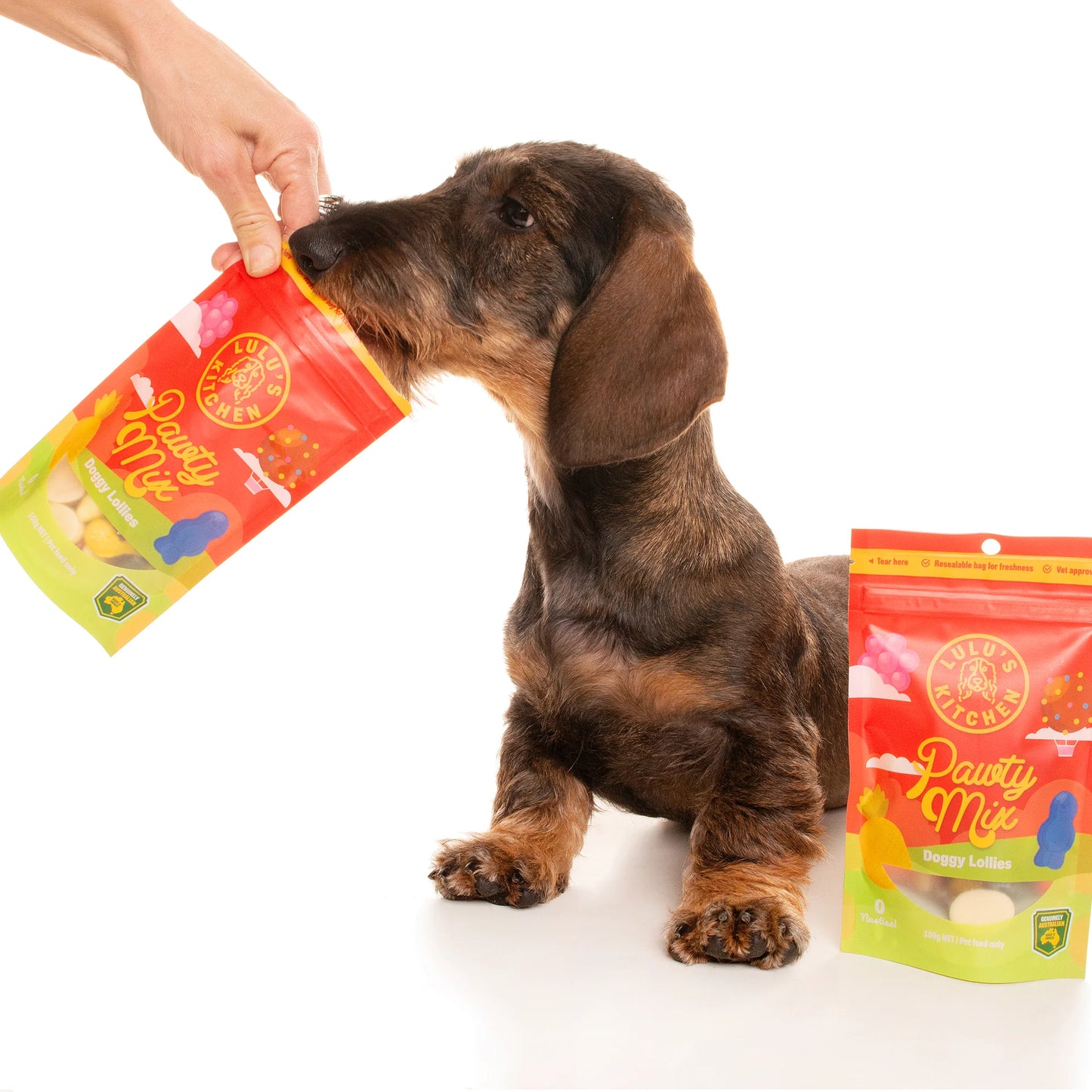 Pawty Mix Healthy Lollies for Dogs 100g