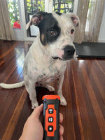 XP30 Ultrasonic 3-Speaker Handheld Dog Bark Deterrent and Trainer