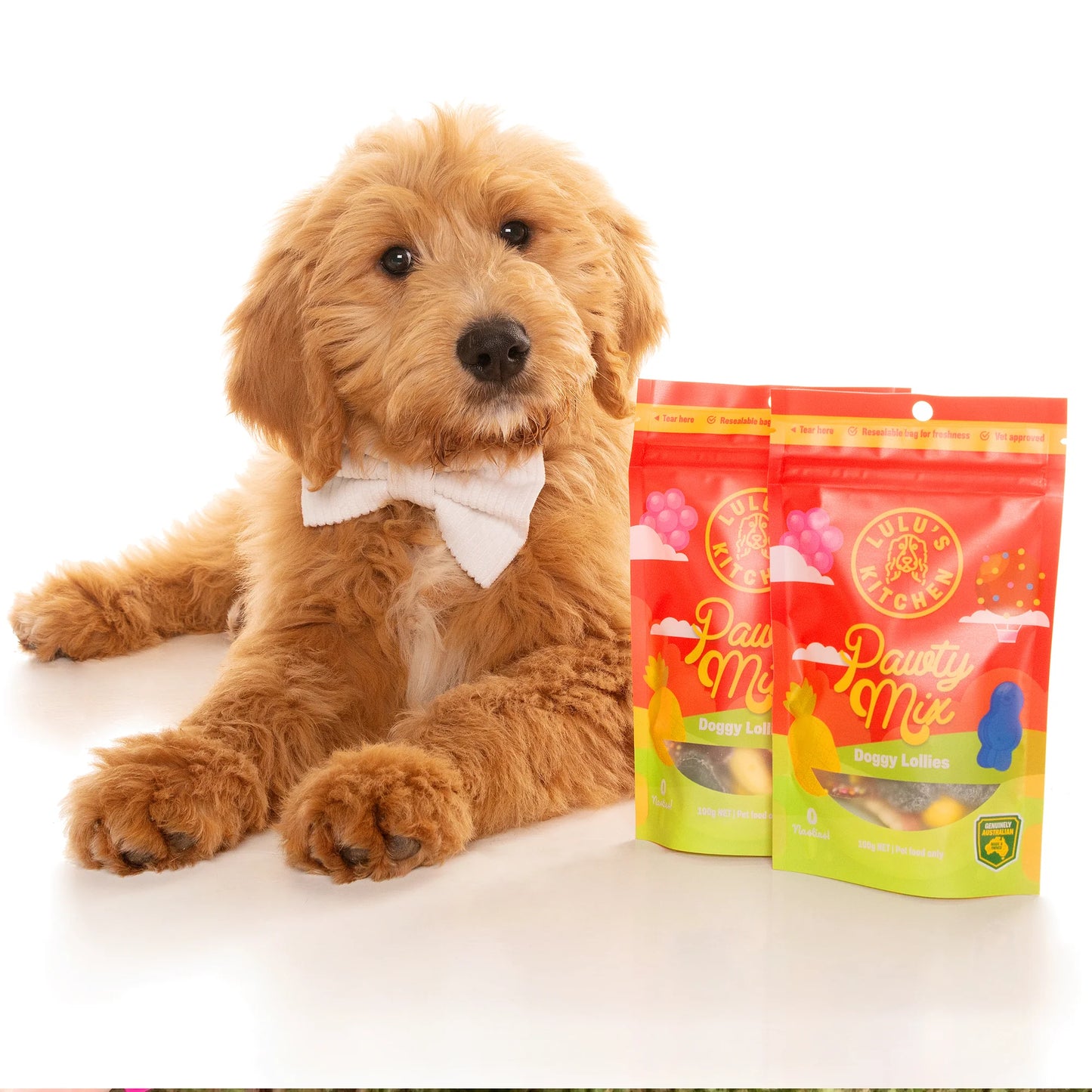 Pawty Mix Healthy Lollies for Dogs 100g