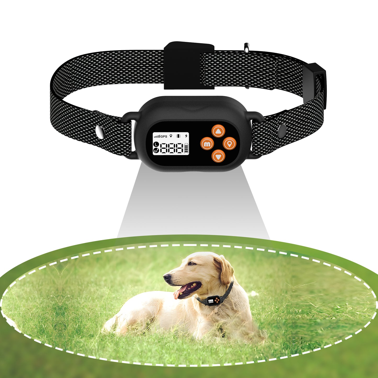 F820 GPS Wireless Fence Collar