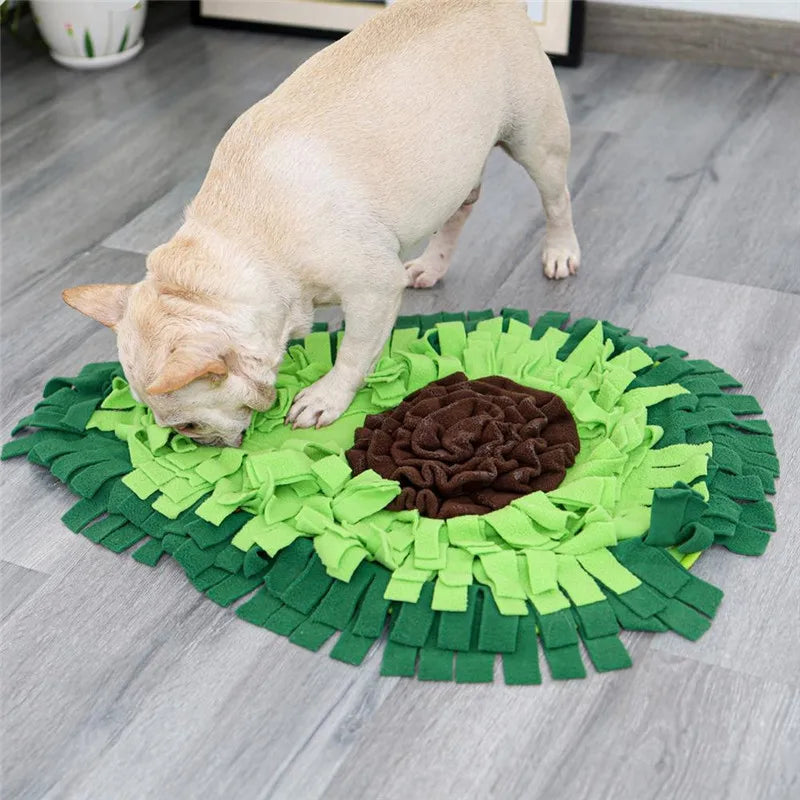 Avocado Snuffle Mat