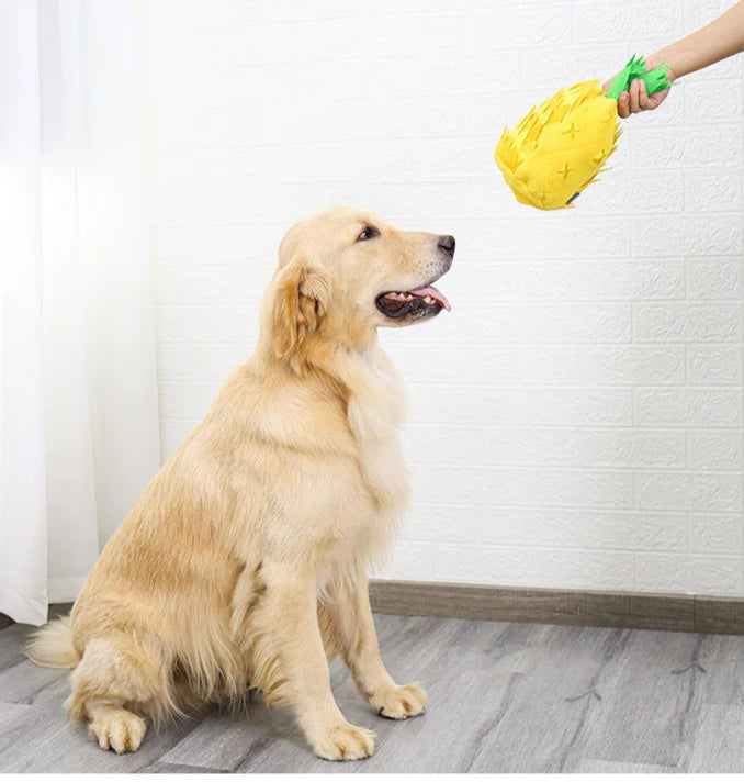 Pineapple Snuffle Toy with Squeaker