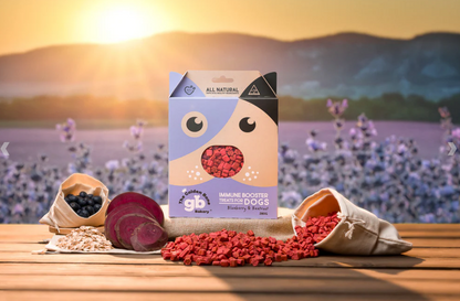 Immune Boosting with Blueberries Dog Treat