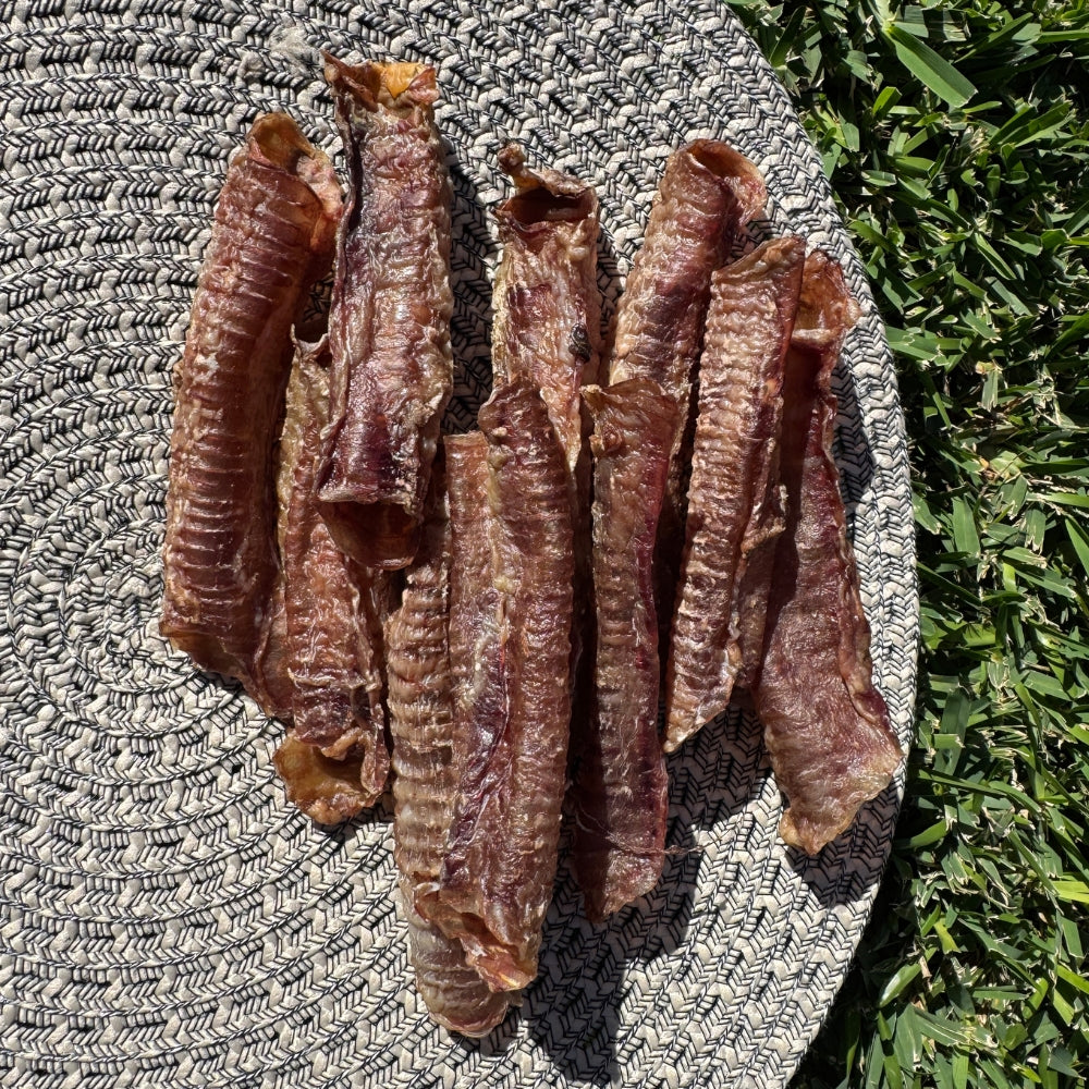 Lamb Trachea