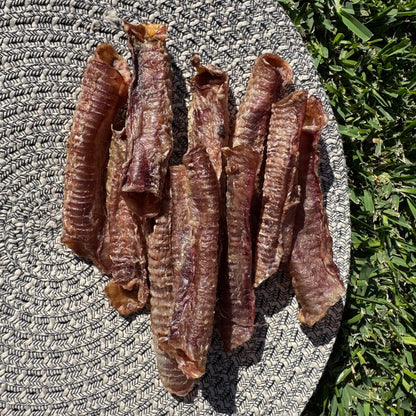 Lamb Trachea