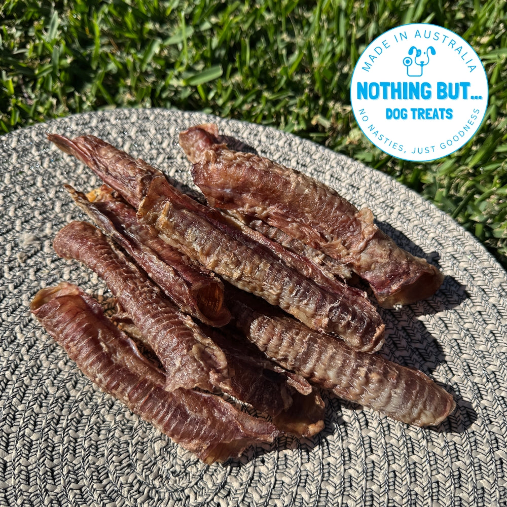 Lamb Trachea