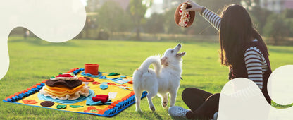 Afternoon Picnic Snuffle Mat with Detachable Toys