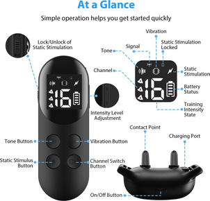 T200 Remote Training Collar