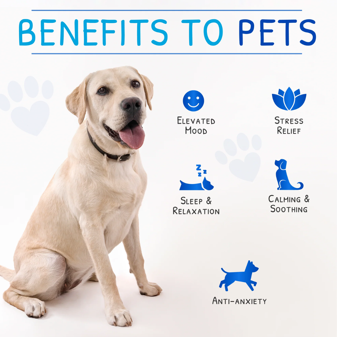 Zen Pet Calming Drops for Dogs 30ml