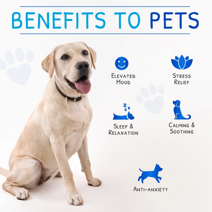 Zen Pet Calming Drops for Dogs 30ml