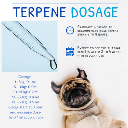 Zen Pet Calming Drops for Dogs 30ml