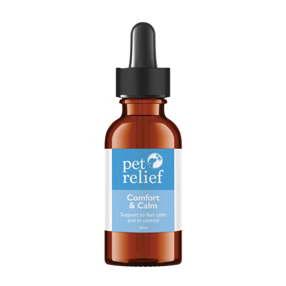 Comfort & Calm Drops - Daytime Blend - Bark Doctor