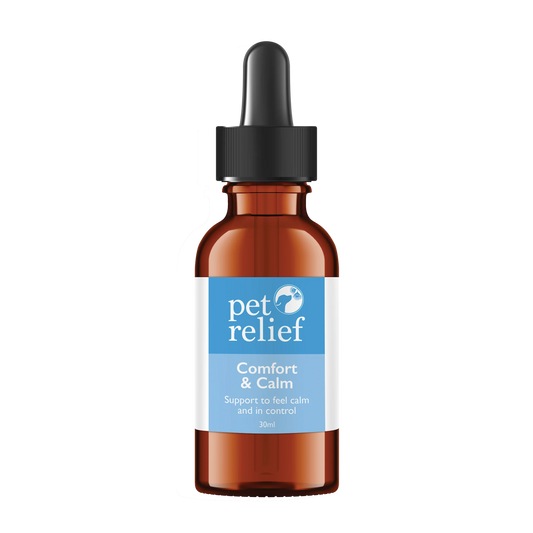 Comfort & Calm Drops - Daytime Blend - Bark Doctor