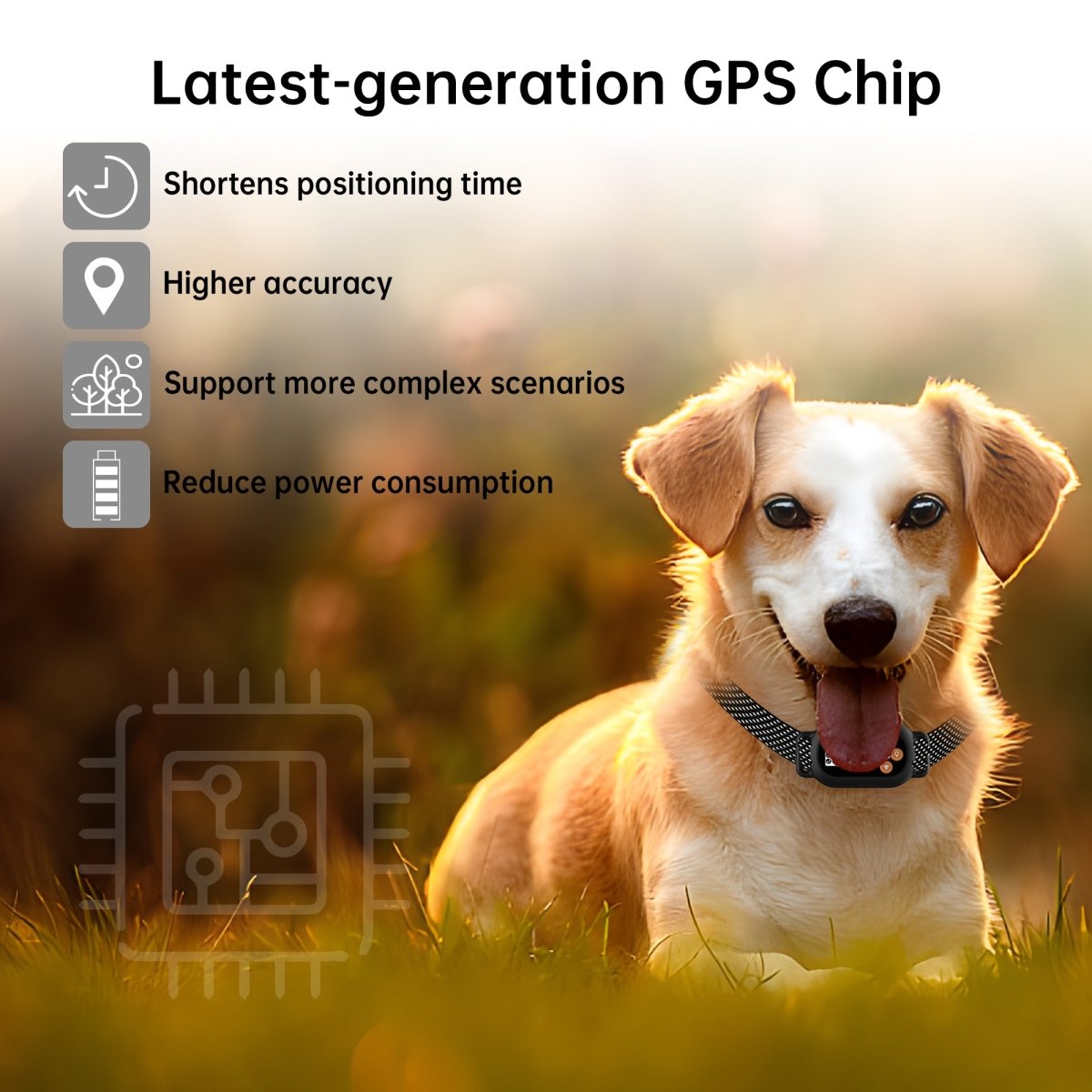 F820 GPS Wireless Fence Collar - Bark Doctor