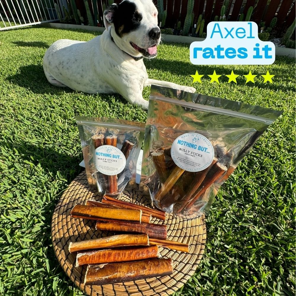 Premium Bully Sticks - Bark Doctor