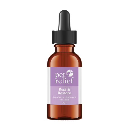 Rest & Restore Drops - Night Time Blend - Bark Doctor