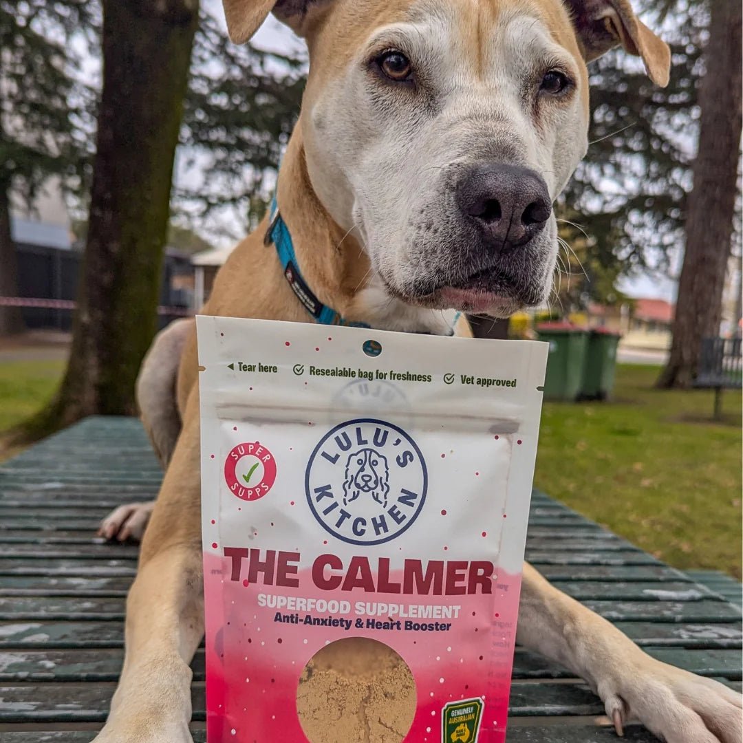 The Calmer Anti - Anxiety & Heart Superfood Booster - Bark Doctor