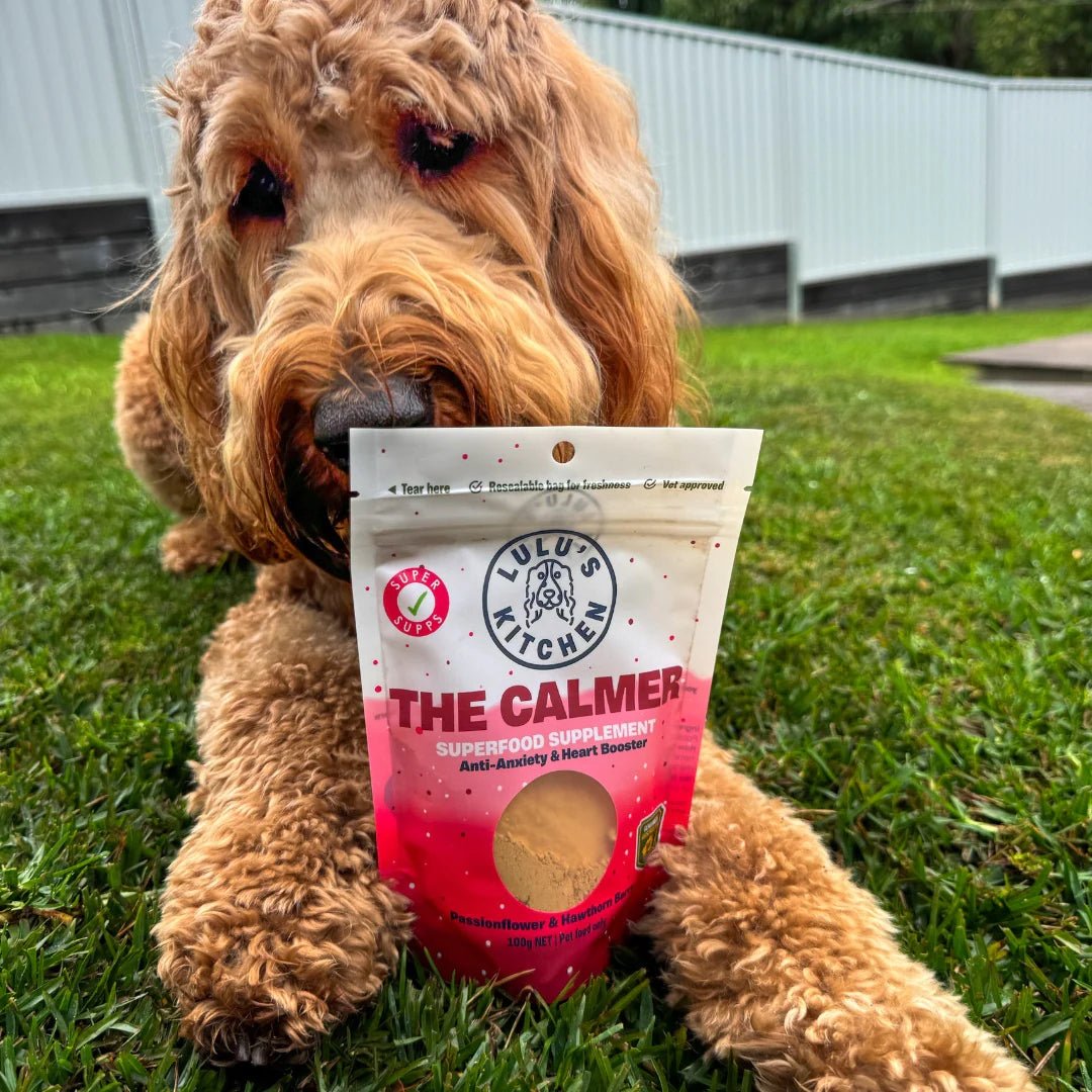 The Calmer Anti - Anxiety & Heart Superfood Booster - Bark Doctor