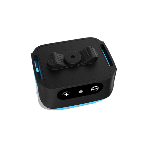 Extra small bark sales collar for chihuahua